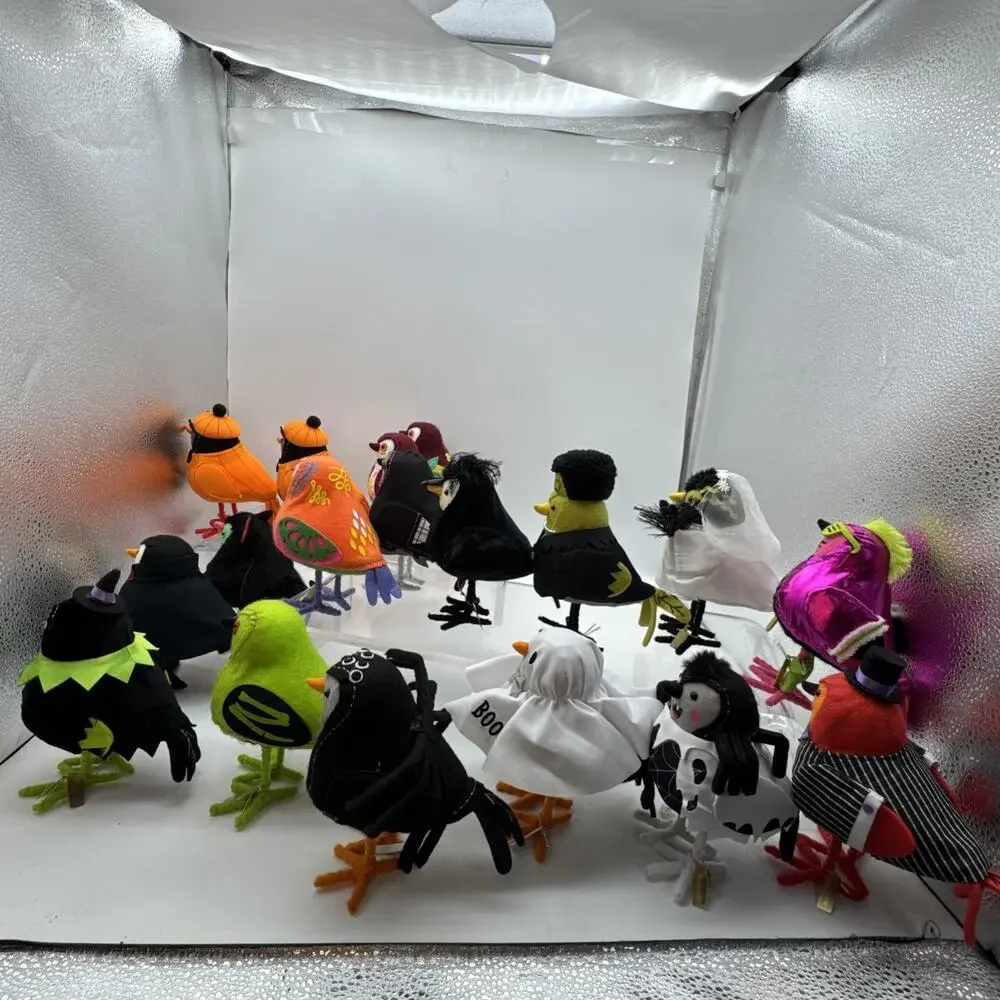Spritz 2023 birds